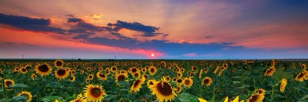 CasseCool Profile Banner