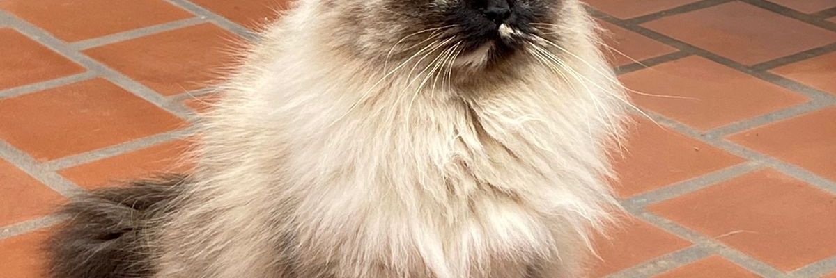 crous47's profile banner image