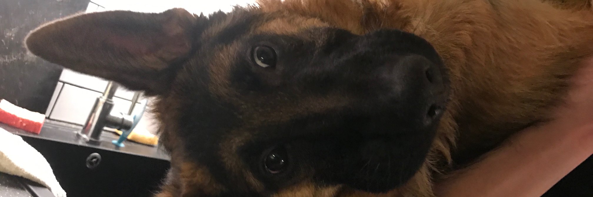 Beanns0305's profile banner image