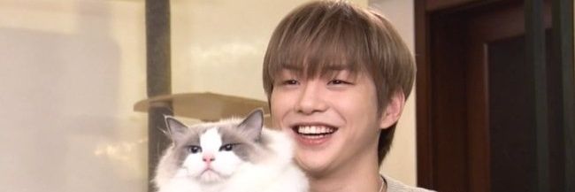 blueseajoa's profile banner image