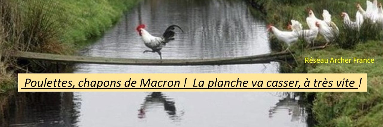 ArcherFrance's profile banner image