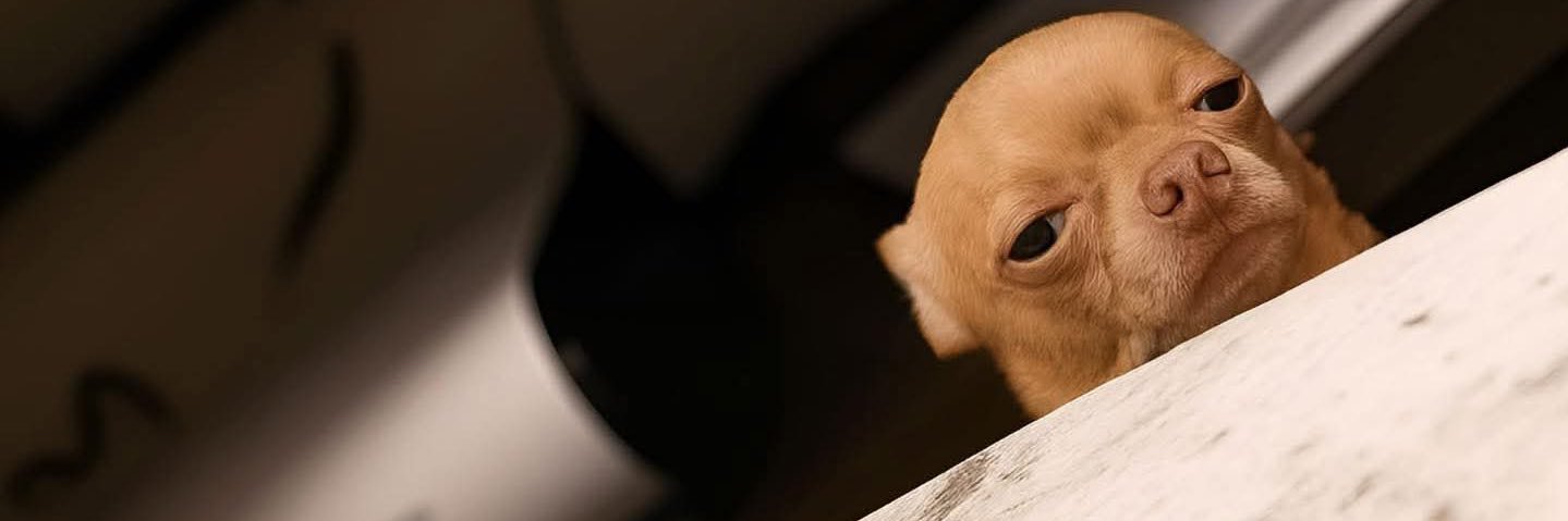 diegoyac_'s profile banner image
