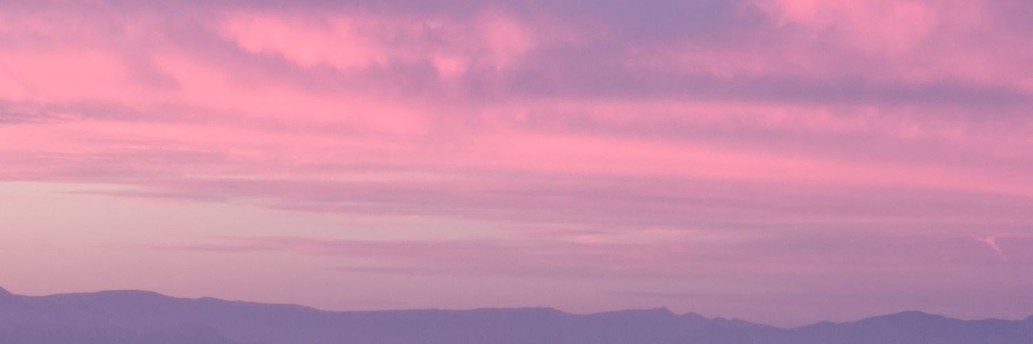 paulafc99's profile banner image