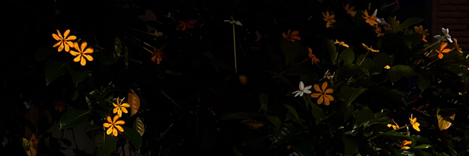 beni. banner