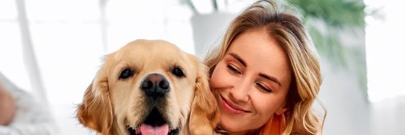 brittloverdfw's profile banner image