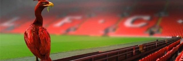 Jason(twinny)Wardley banner