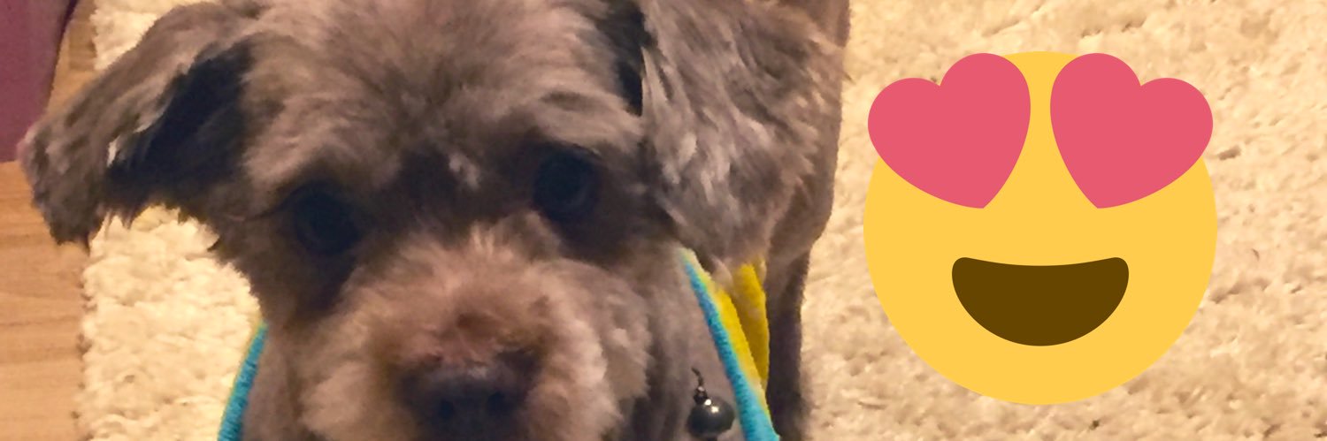 elcito55's profile banner image