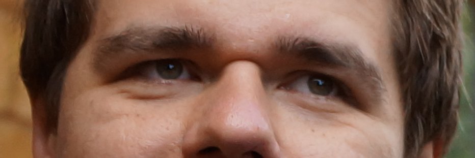 rastlinpl's profile banner image