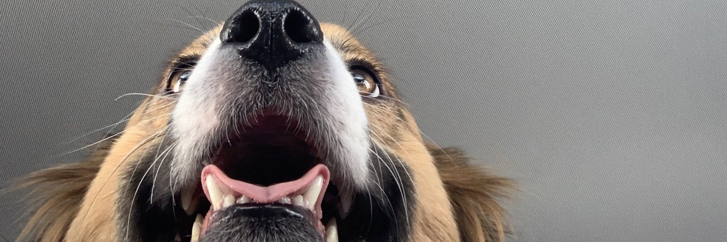 ElleenMariee's profile banner image