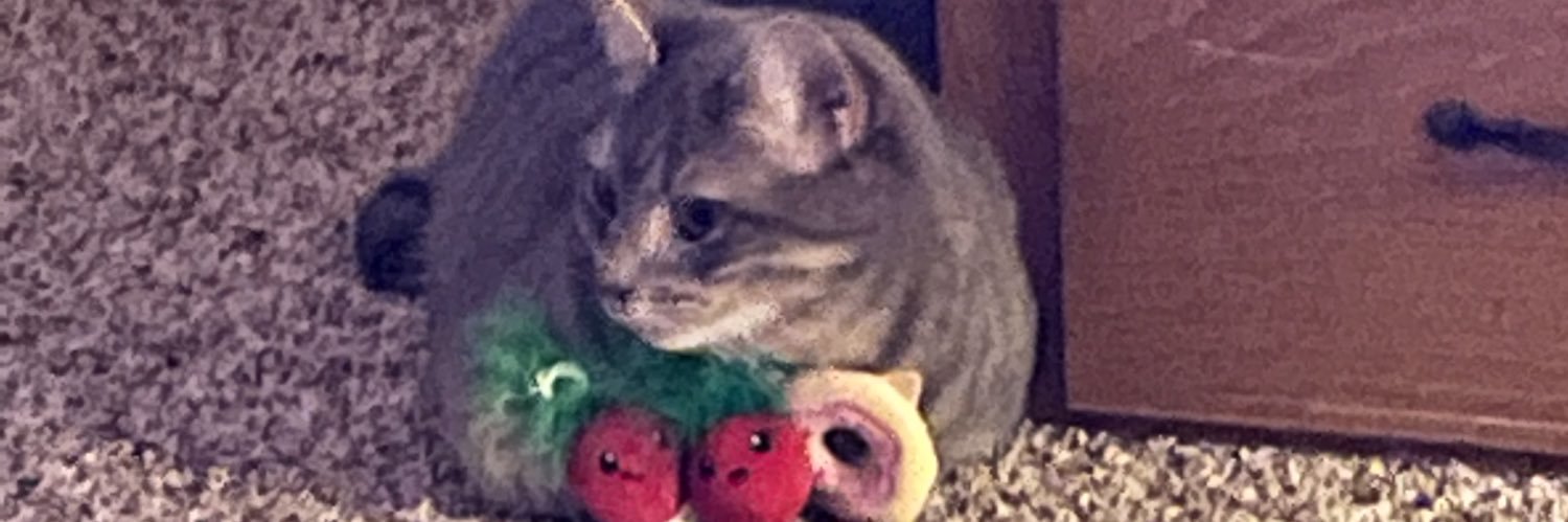 skid_diddly's profile banner image