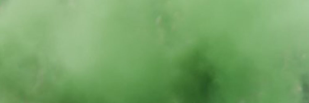 Stroe banner