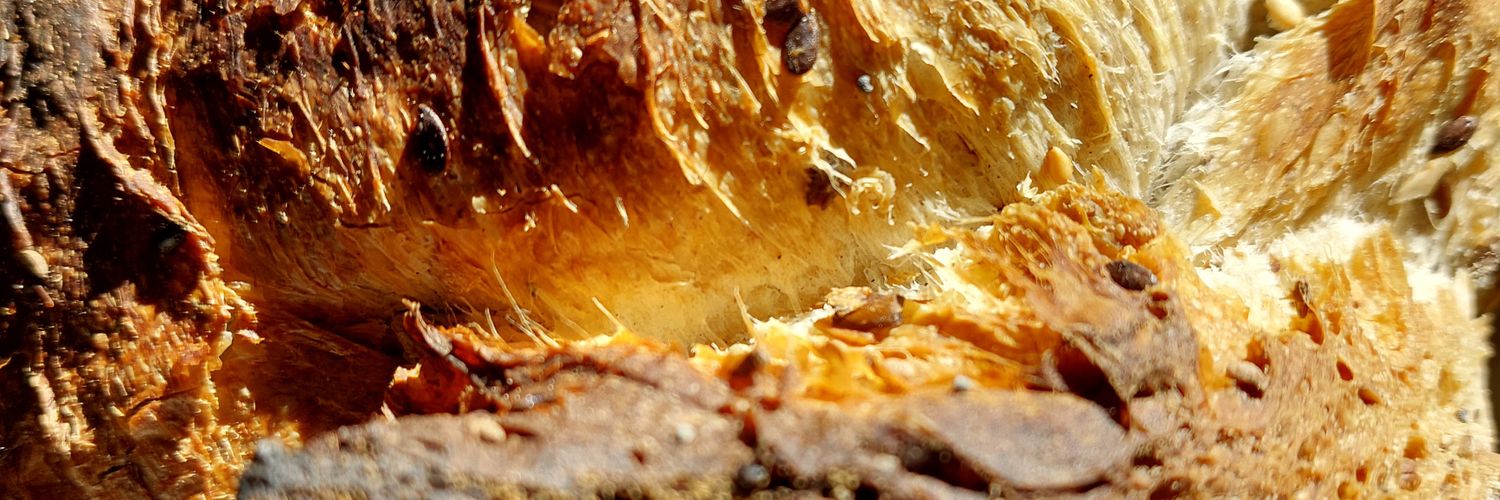 higuaid's profile banner image