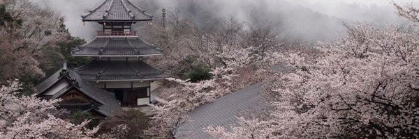 flobrise Profile Banner