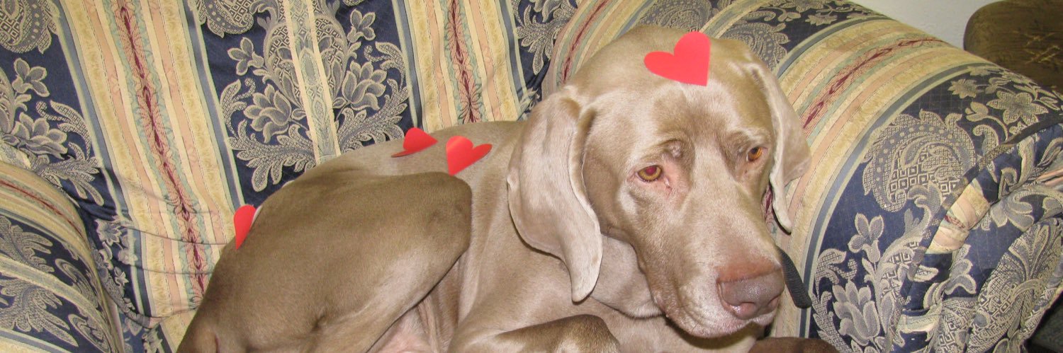 JessBratton1's profile banner image