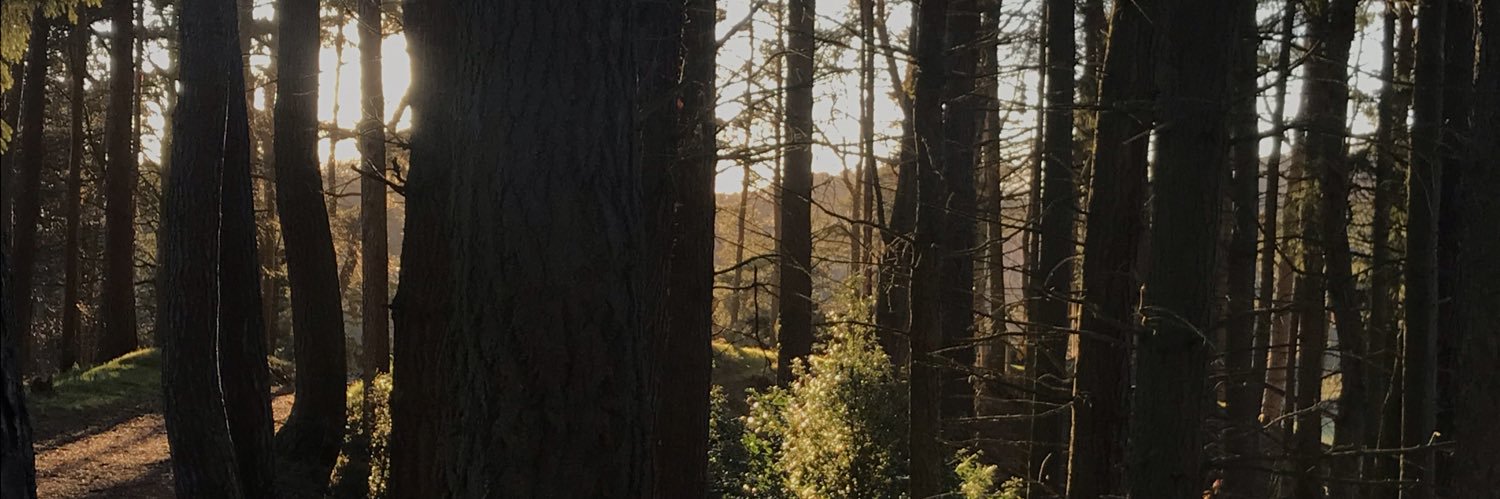 TaxMaylor_'s profile banner image