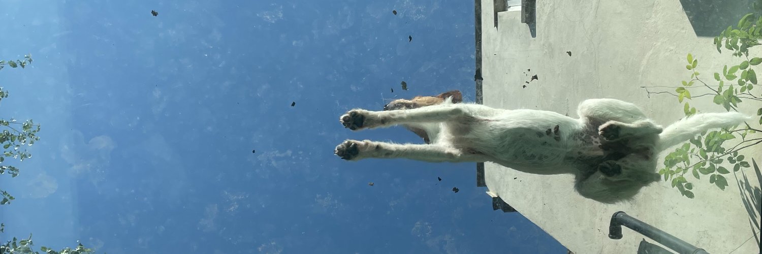 AlexBache's profile banner image