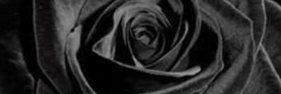 LiamRPGLDS's profile banner image