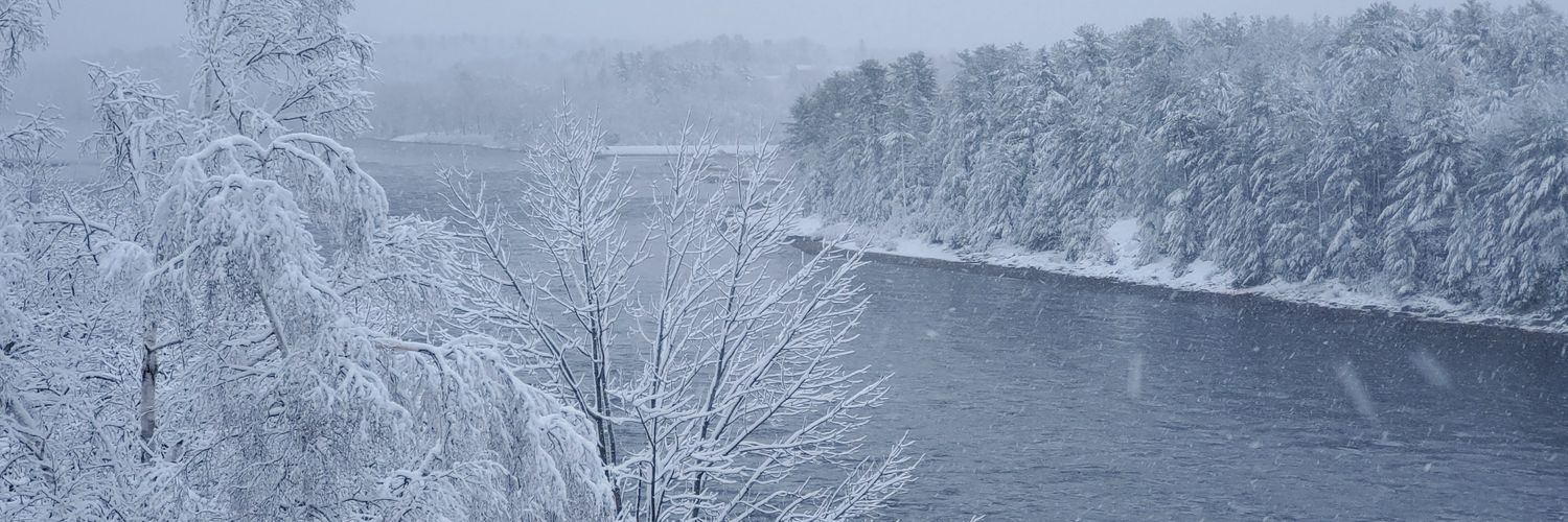 Carlos Requena banner