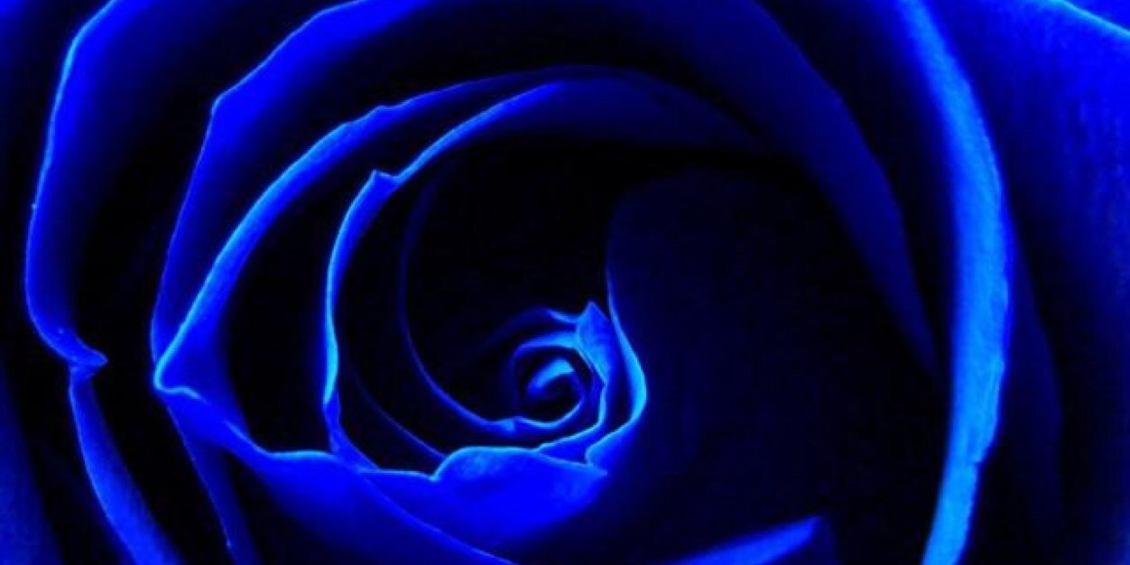 KJizz14's profile banner image