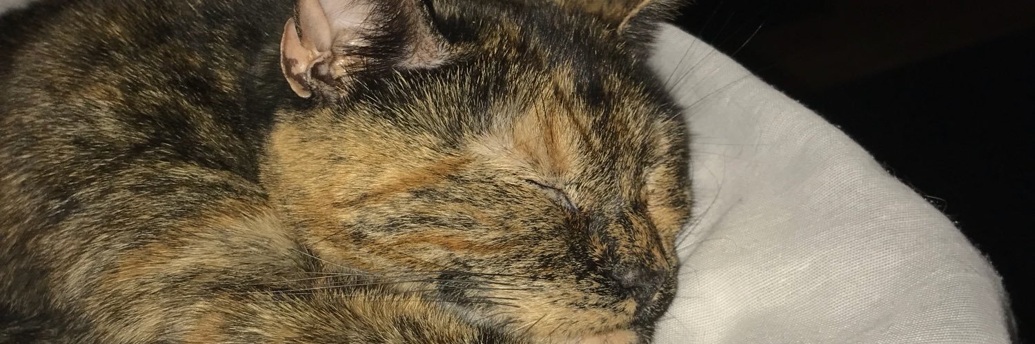 Ashleighkerri's profile banner image