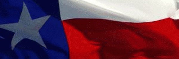 mmespy Profile Banner