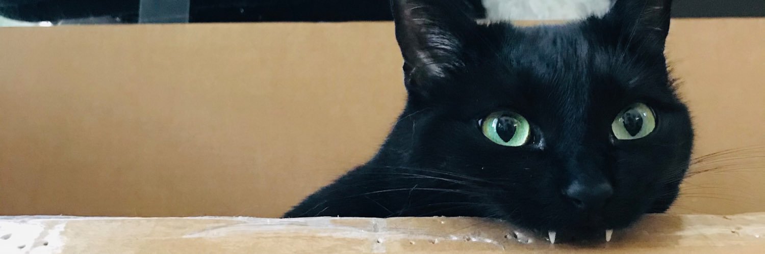 brandon 🏴󠁧󠁢󠁳󠁣󠁴󠁿 banner