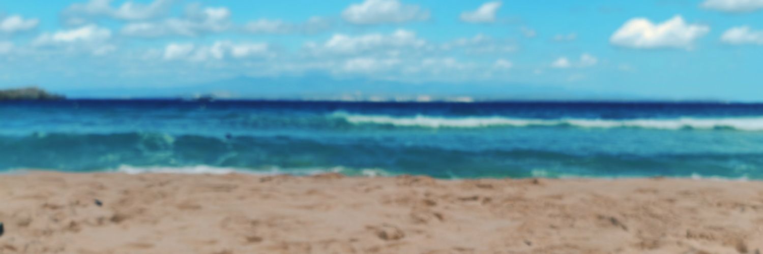 SM1978ve's profile banner image