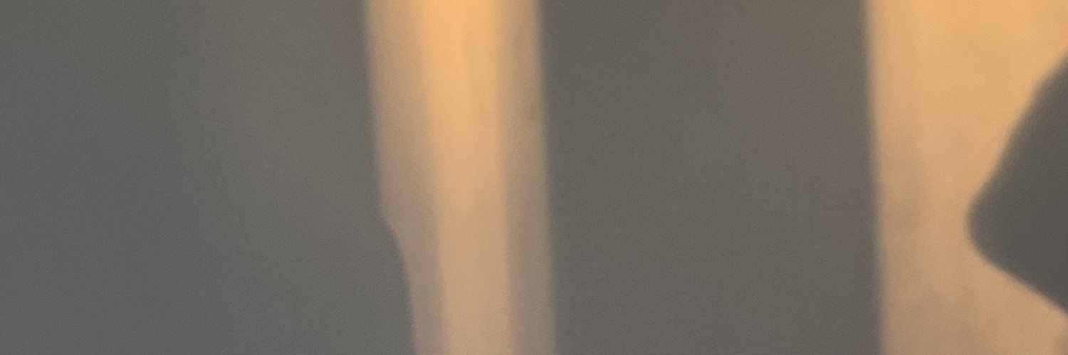 skamrine's profile banner image