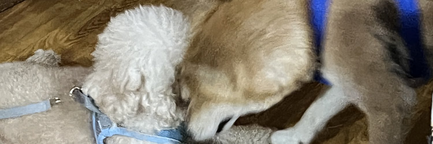 FiftHarmona's profile banner image