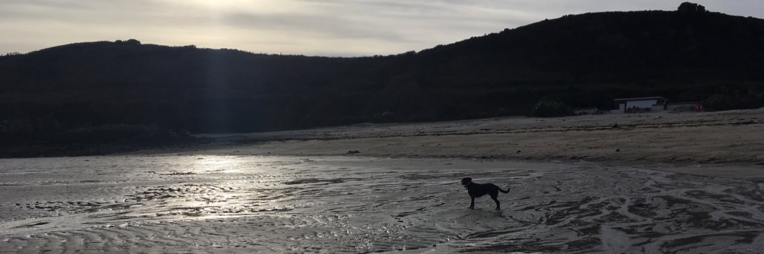 rubblyplank's profile banner image