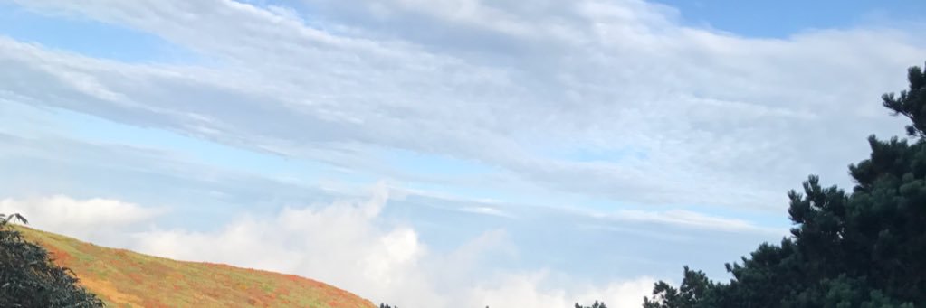 たかみちい banner