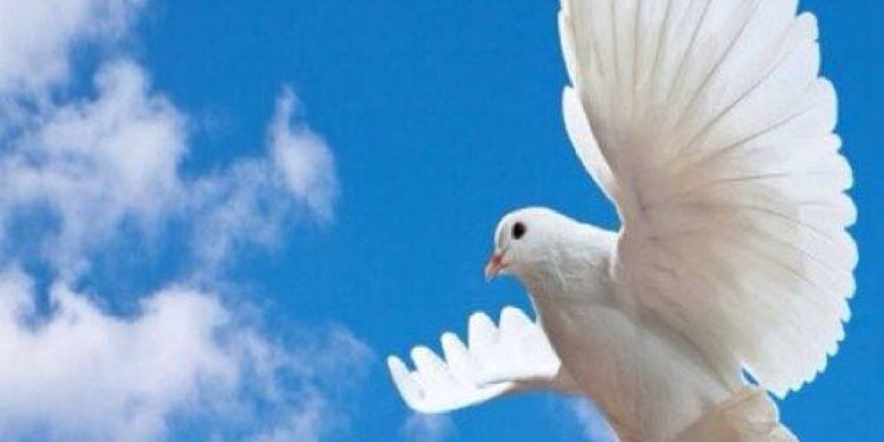 nboolie's profile banner image