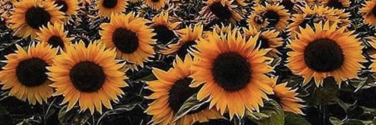 ShelbsMBuck's profile banner image