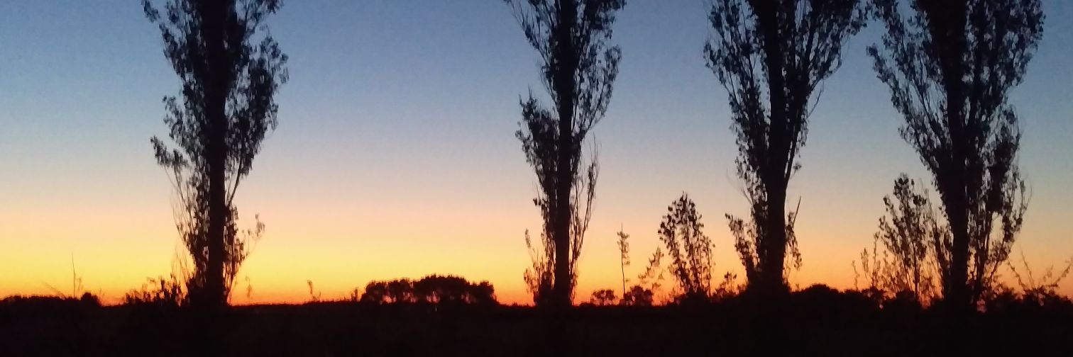 Lindeboom44's profile banner image