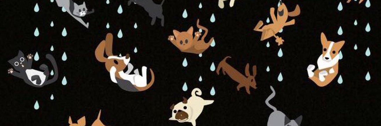 emily__sullivan's profile banner image