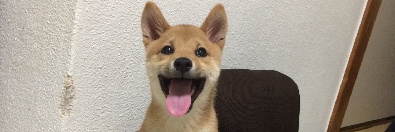 reidaoo's profile banner image
