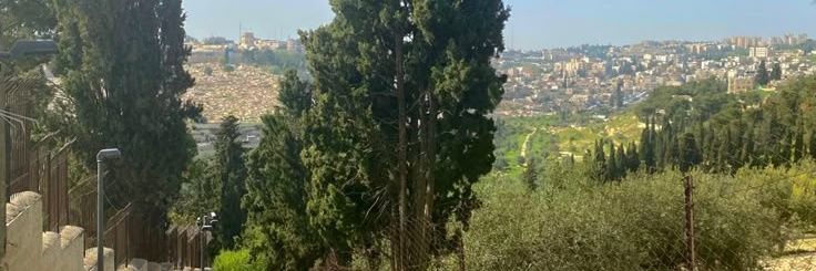 Maj. David Ziniדוד זיני banner