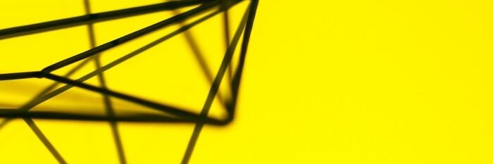 Julia Dellnitz banner