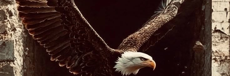 canbanez's profile banner image