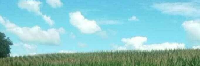 CCinnamon22's profile banner image