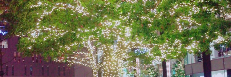 sumika_kai's profile banner image