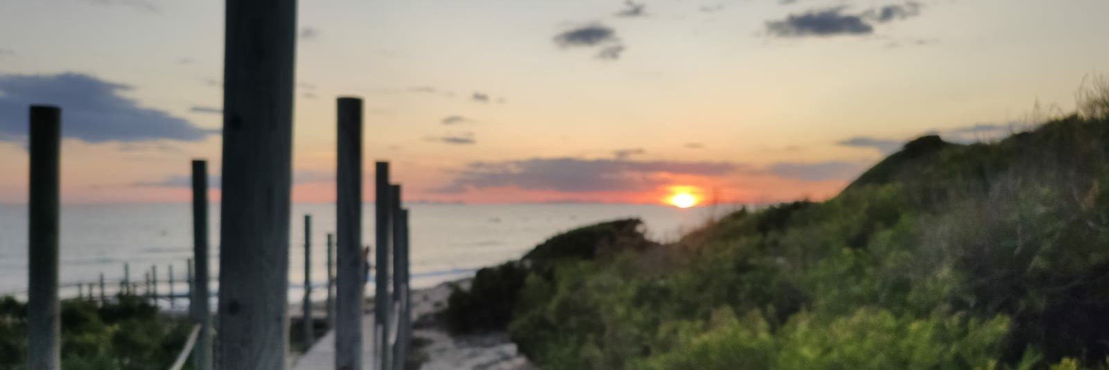 thaNurse's profile banner image