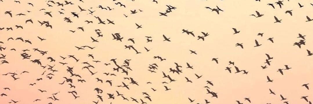 ItsTheWeeThings's profile banner image