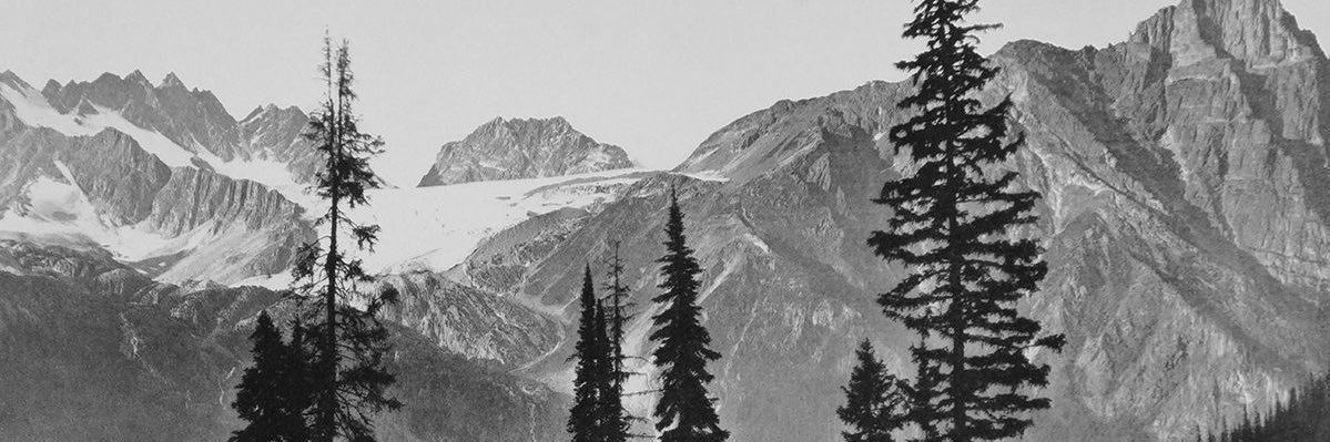 julia__paige's profile banner image
