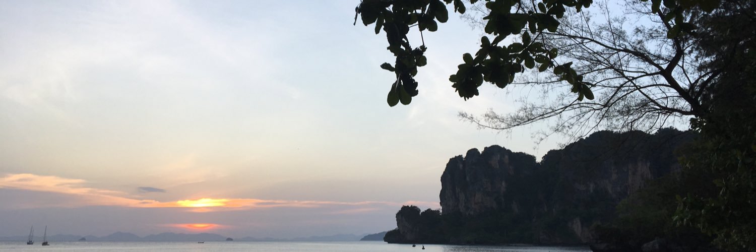 alicemitchell95's profile banner image