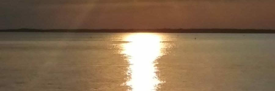 TheMummyG's profile banner image