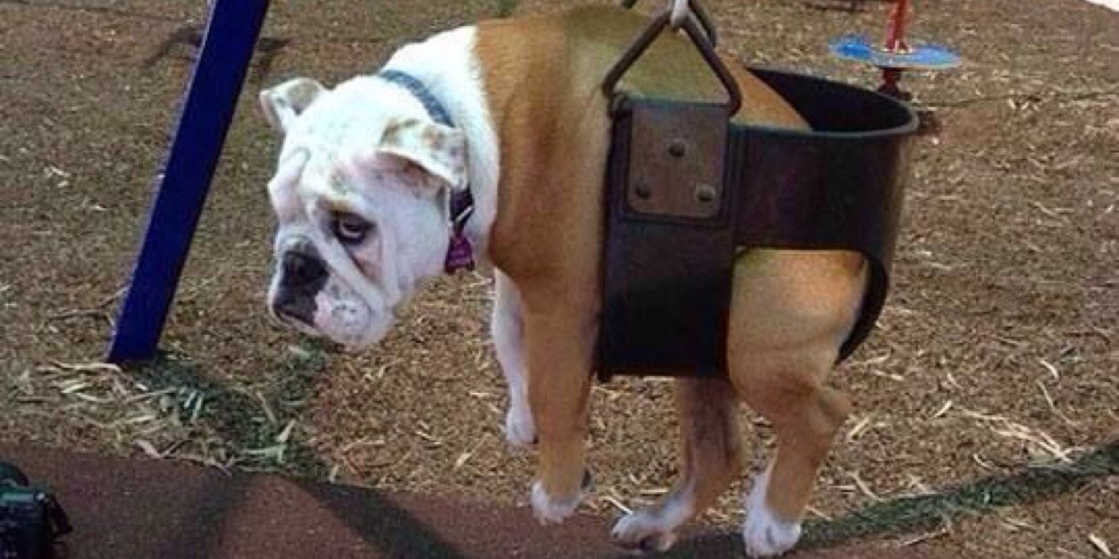 Lloyd phillips banner