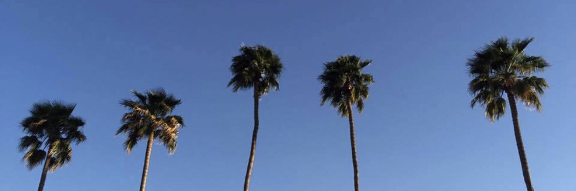 BlueJJHawk's profile banner image