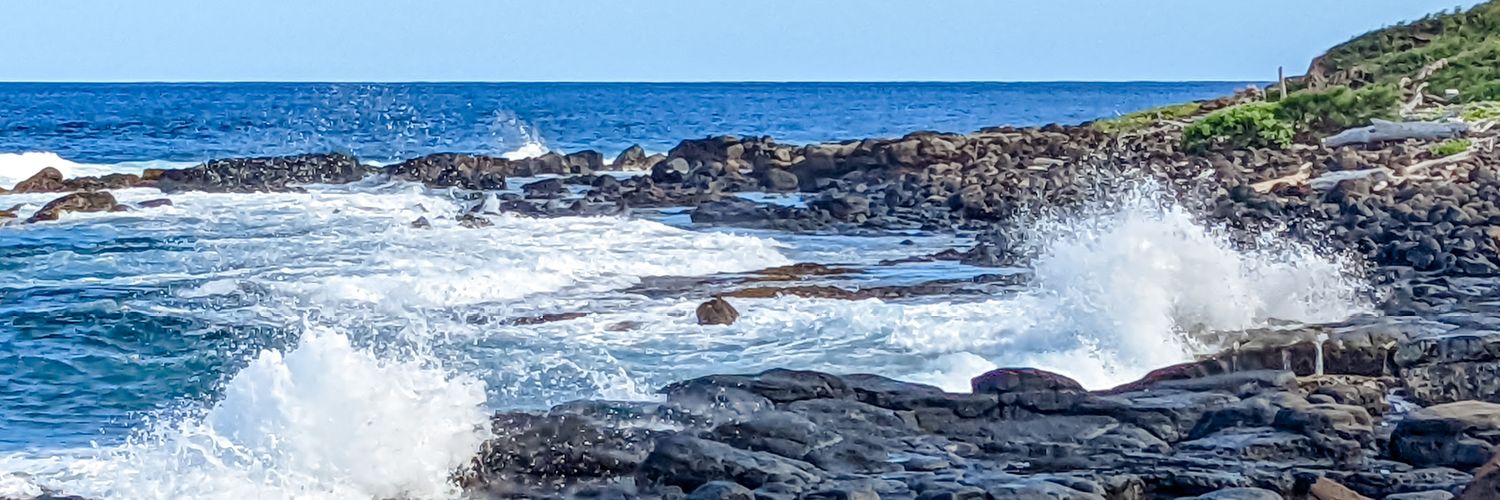 mcampbellp94's profile banner image