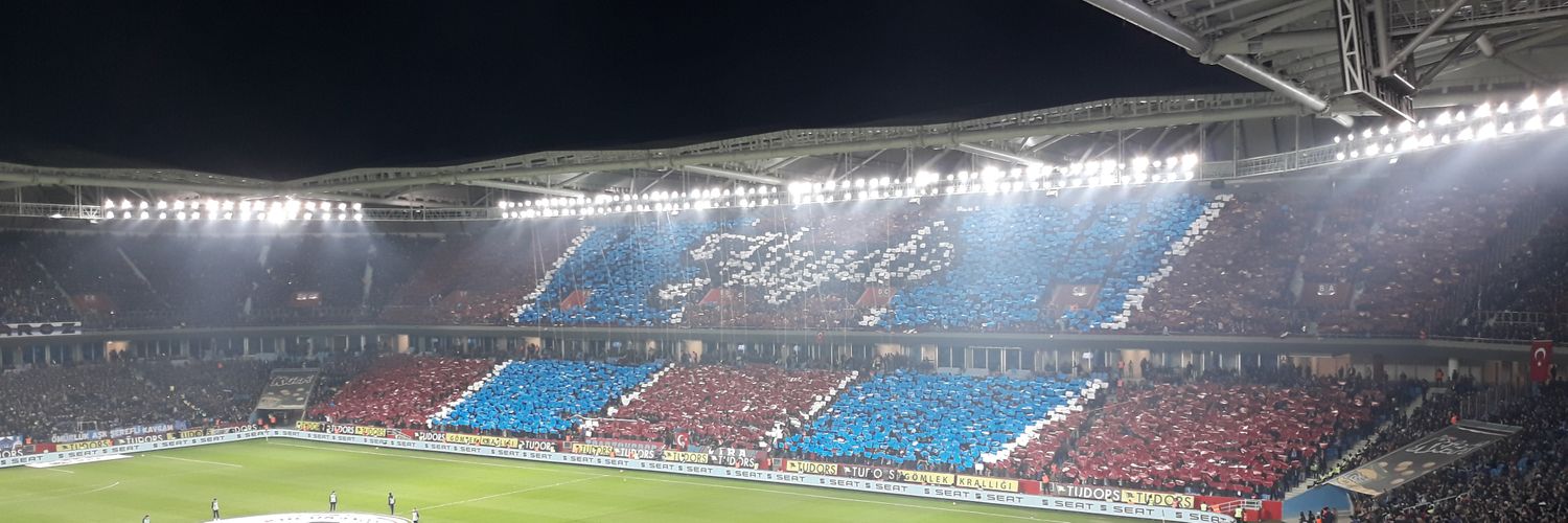 🏆erdoğansarıali🇹🇷 banner